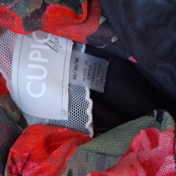 Cupio Blush Sleeveless Black with Red Roses Bodycon Dress - Picture 7 of 13